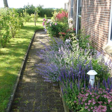 B&B Op De Vlakte Oosternijkerk Exteriér fotografie