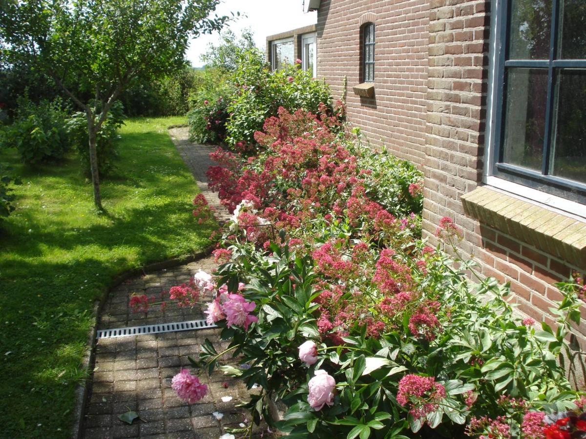 B&B Op De Vlakte Oosternijkerk Exteriér fotografie