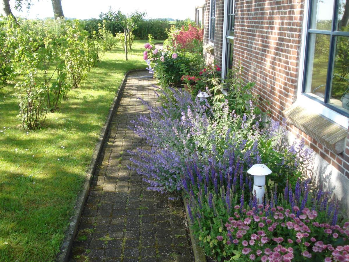 B&B Op De Vlakte Oosternijkerk Exteriér fotografie
